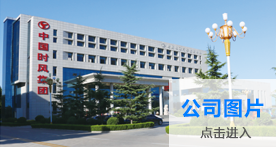 东升国际官网-相信品牌力量