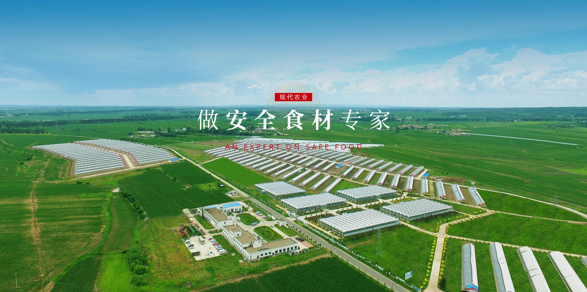 PG电子·仿照器(试玩游戏)官方网站