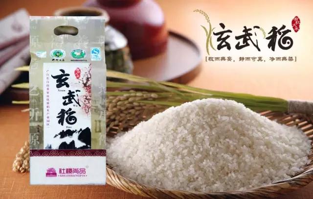PG电子·仿照器(试玩游戏)官方网站
