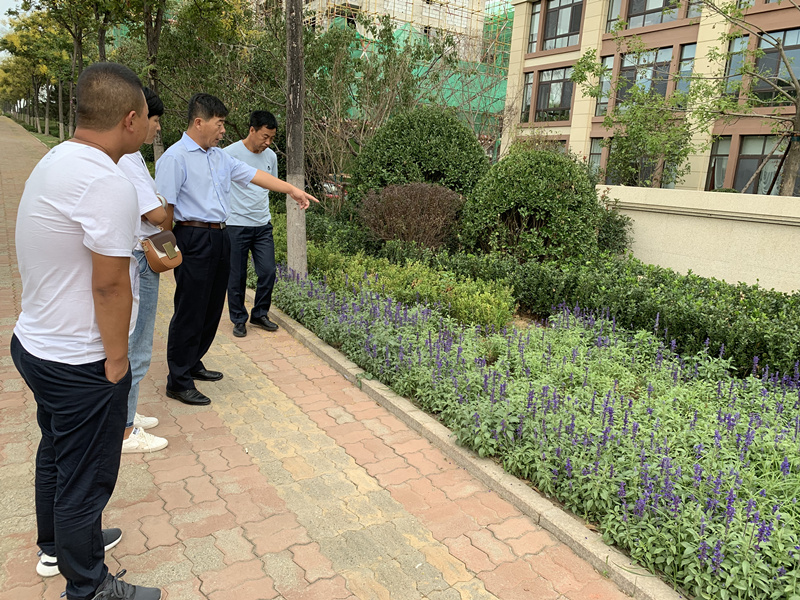 20.园林公司赴威５鞑橐计纺仙较钅.jpg