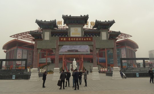 27.药业公司总经理杜海宇携团队调查中药材市场_副本.jpg