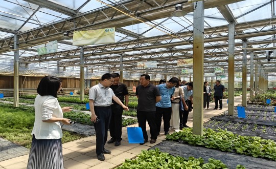 2024年6月27日，中国绿色食品发展中心有关辅导莅临农业总公司调查调研_副本.jpg